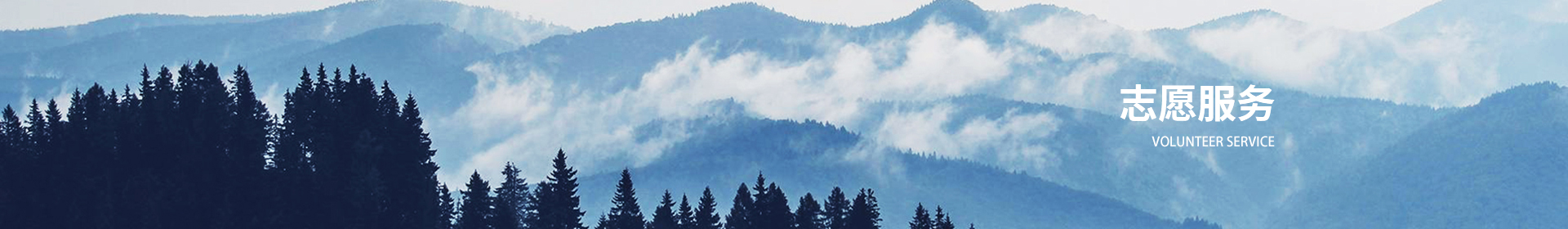志愿活动