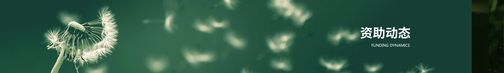 资助动态