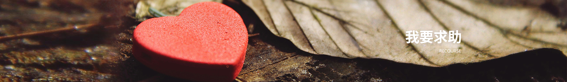 我要求助